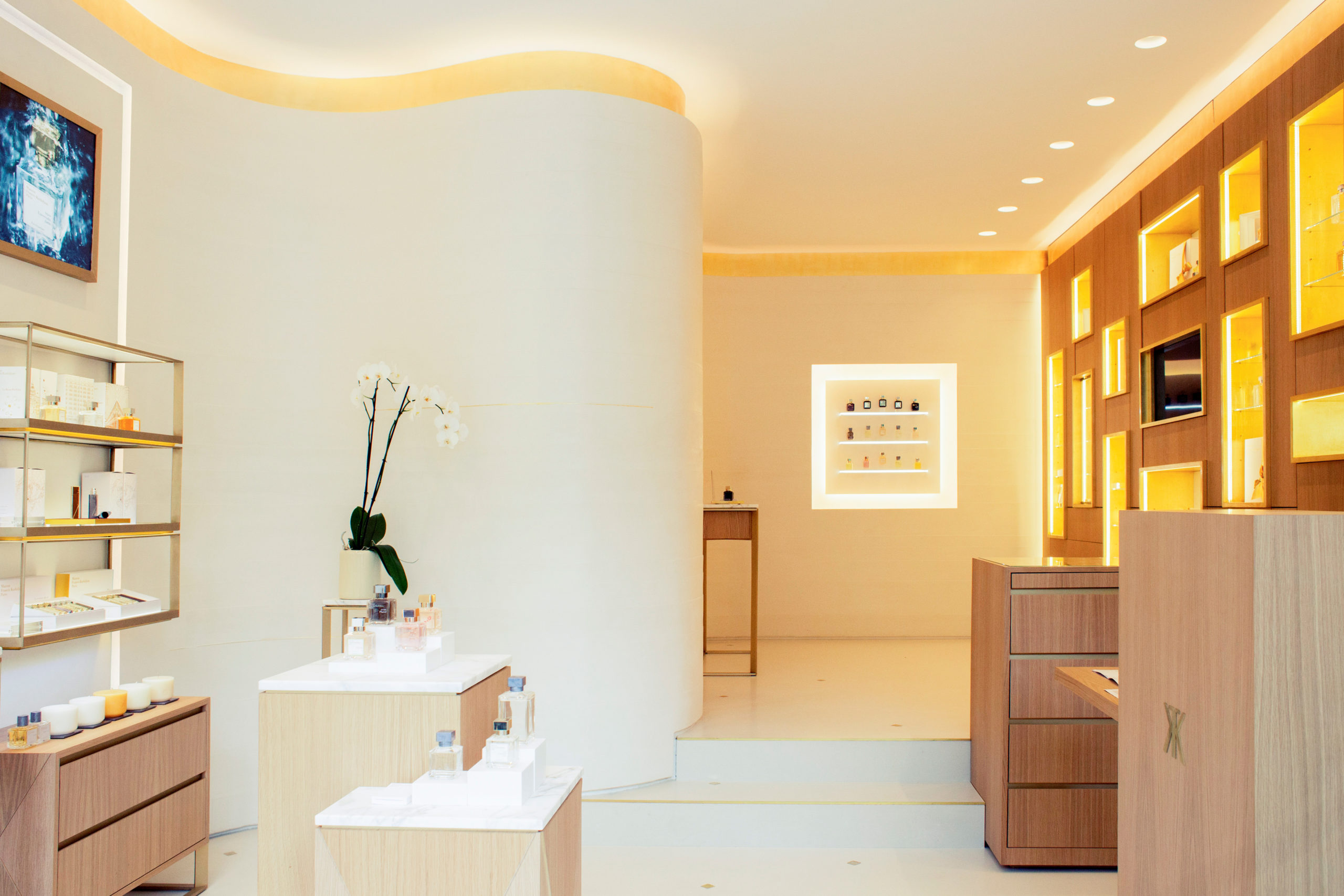 Le vaisseau amiral - Forall Studio