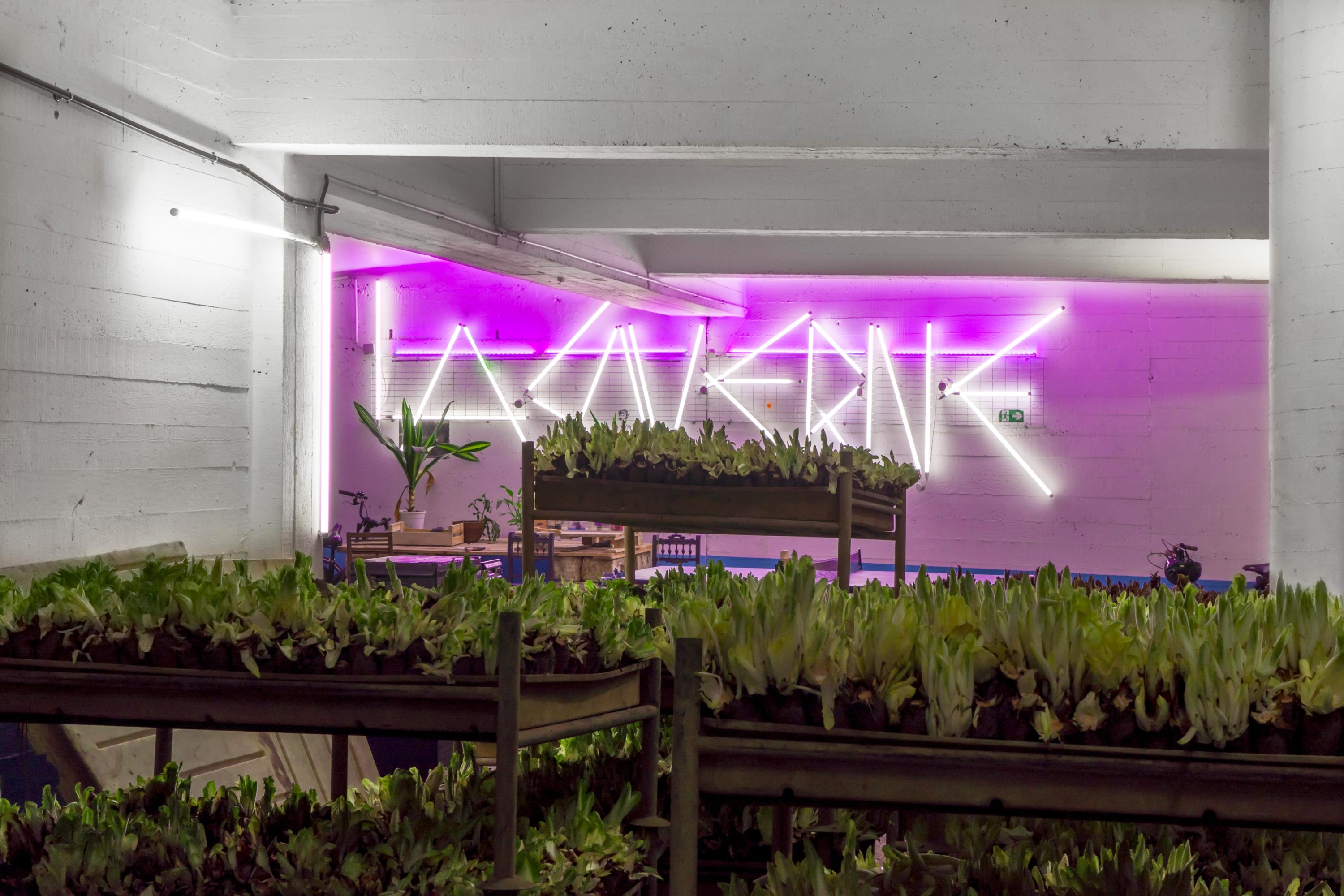 La Caverne - Forall Studio