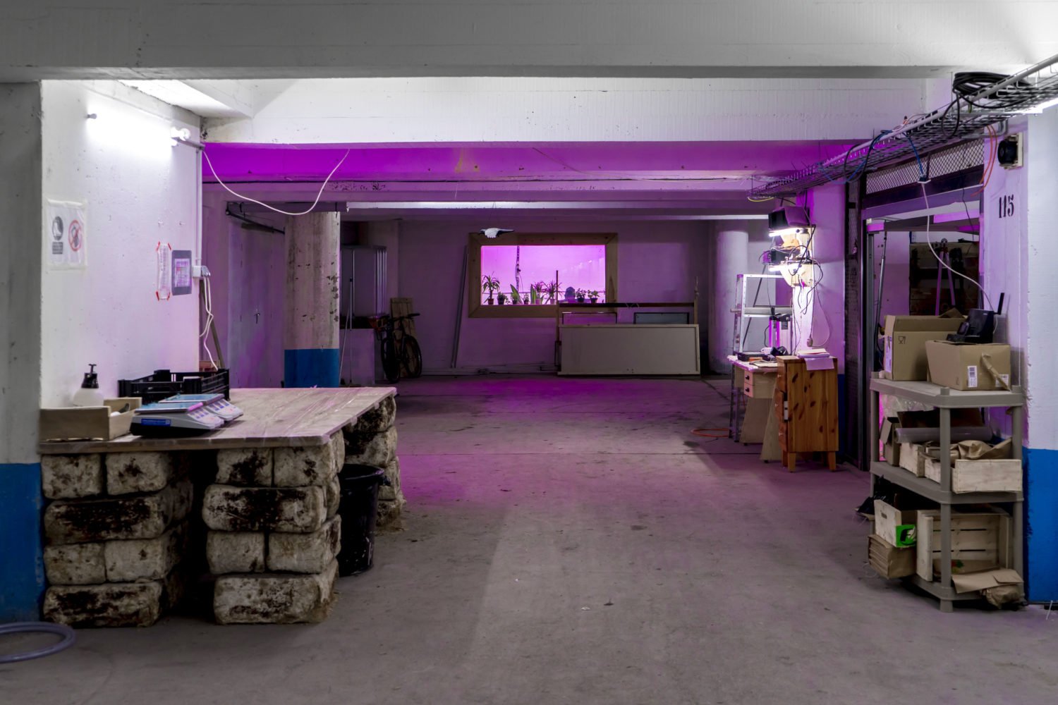 La Caverne - Forall Studio