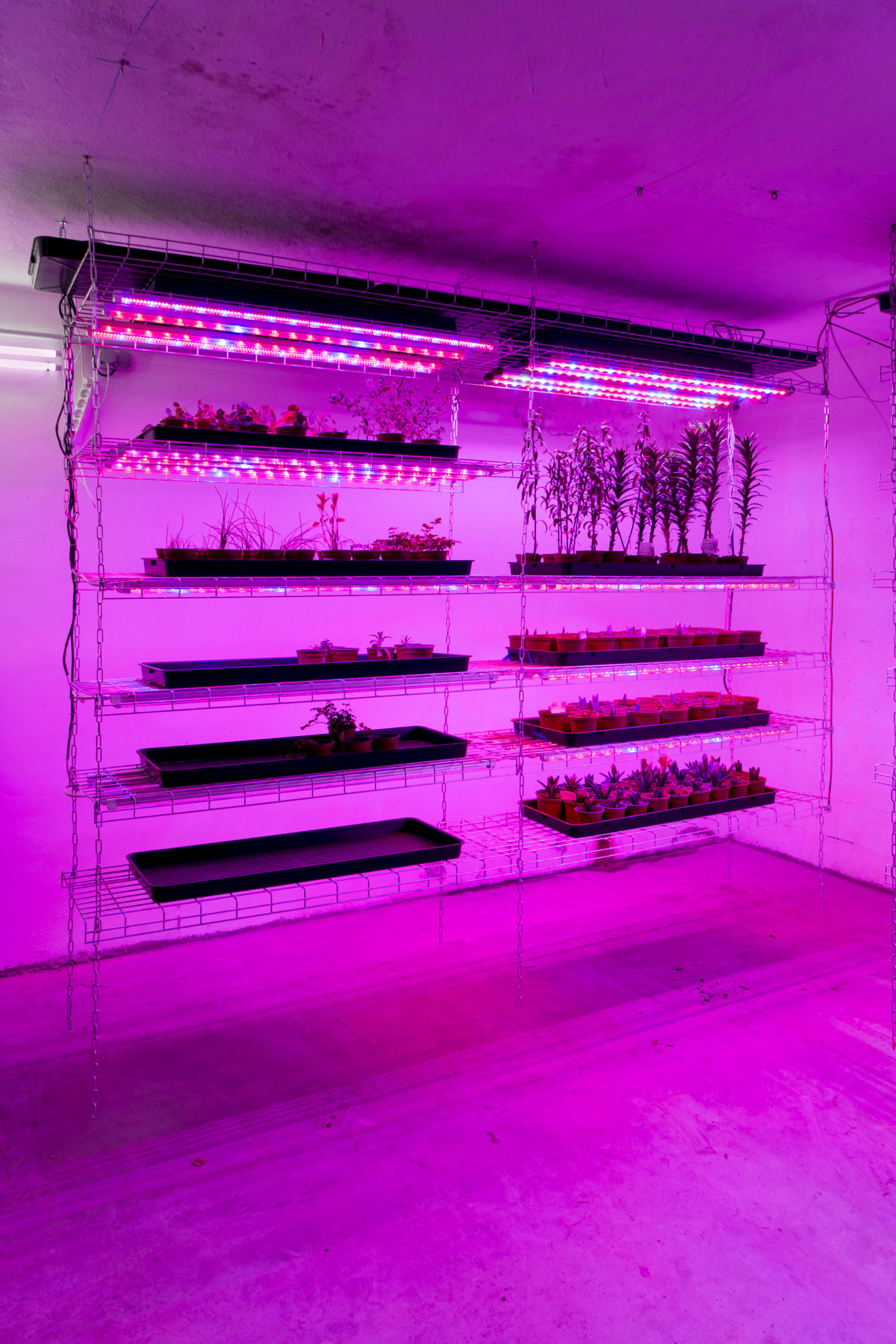 La Caverne - Forall Studio