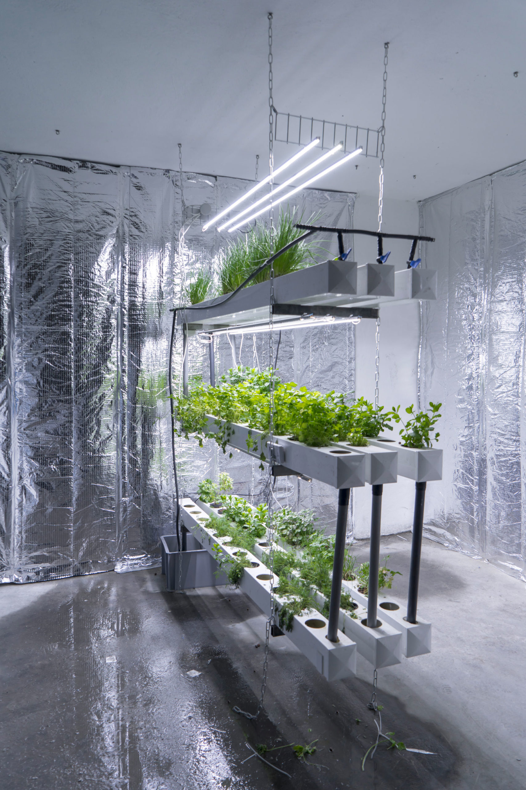 La Caverne - Forall Studio