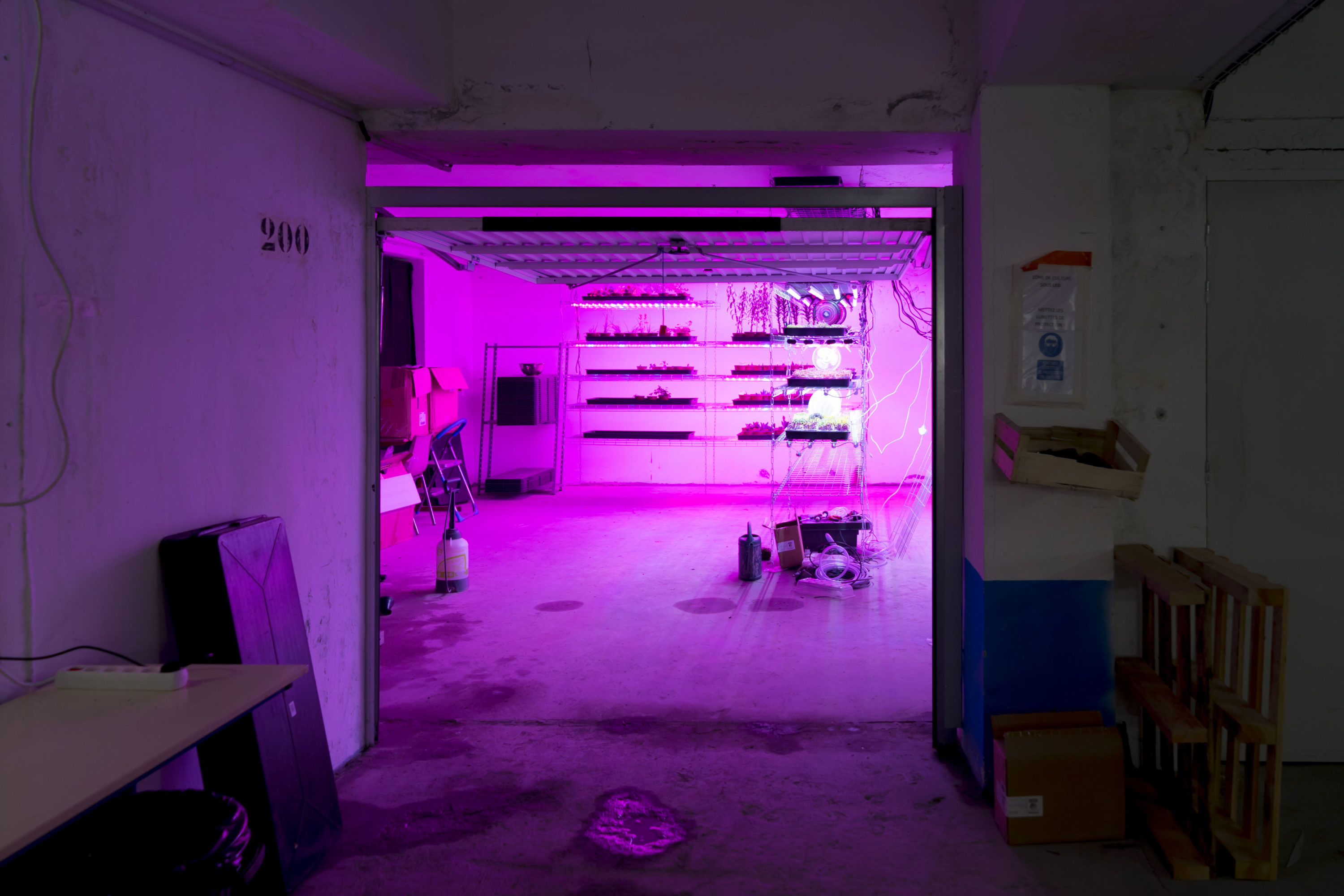 La Caverne - Forall Studio