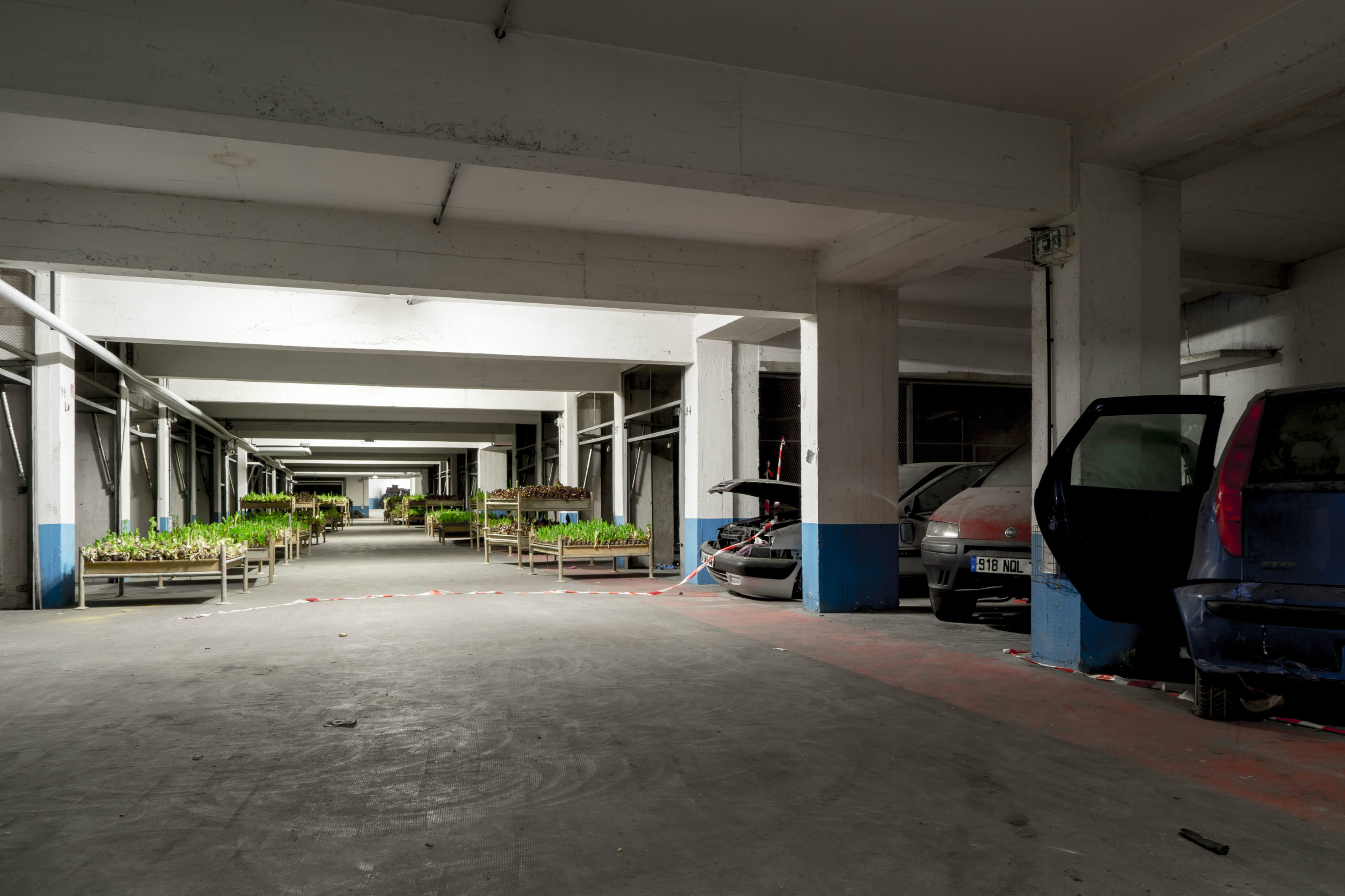 La Caverne - Forall Studio