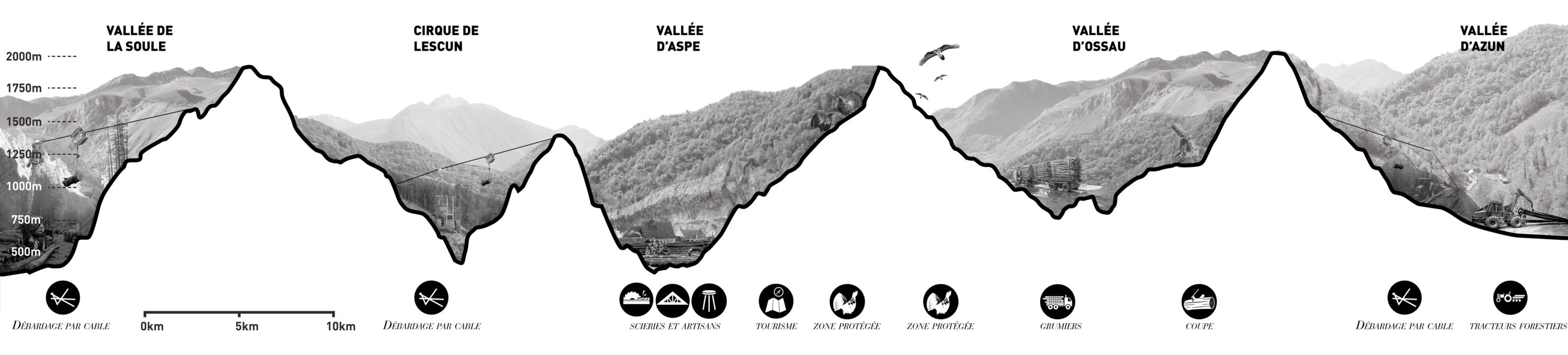 Les vallées forestières - Forall Studio