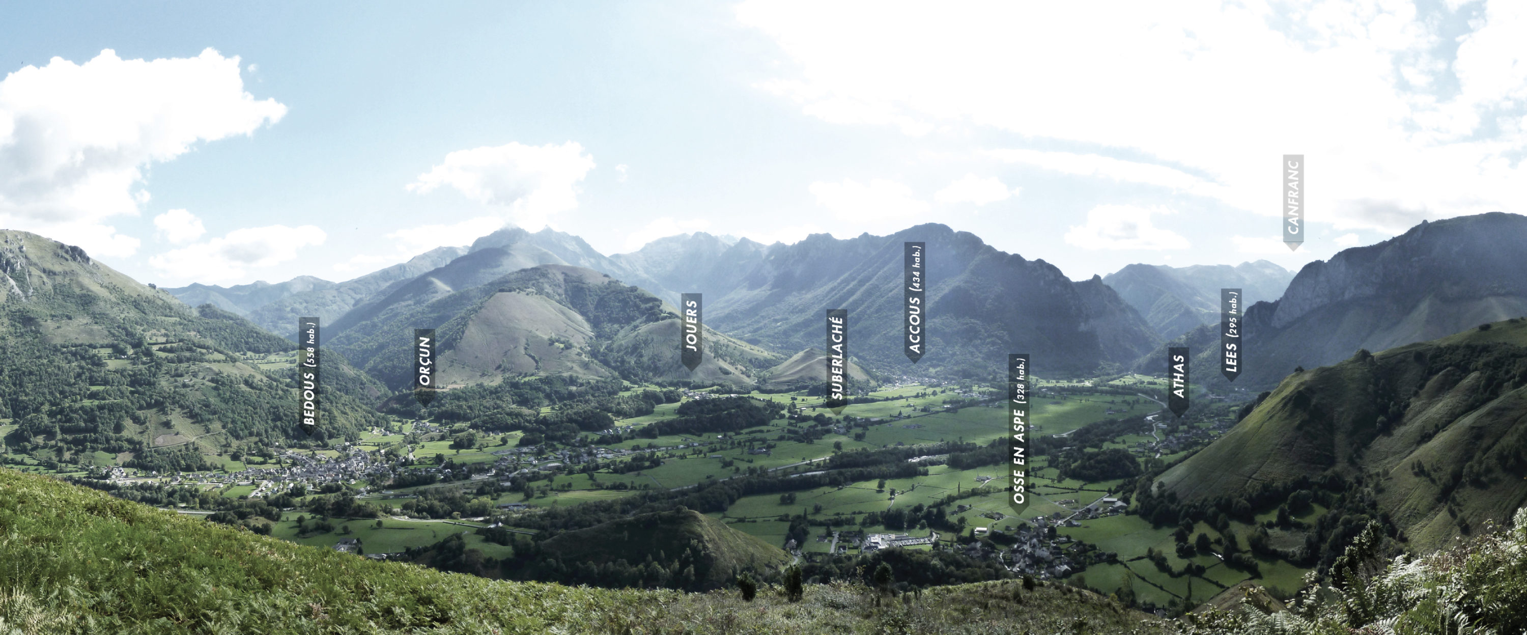 Les vallées forestières - Forall Studio