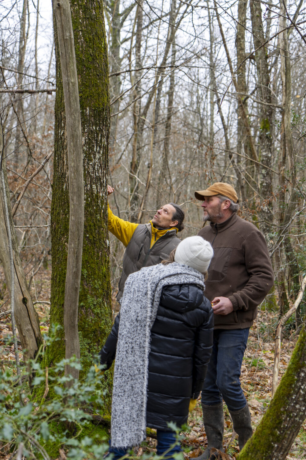 Les Loges Lesseps - Forall Studio
