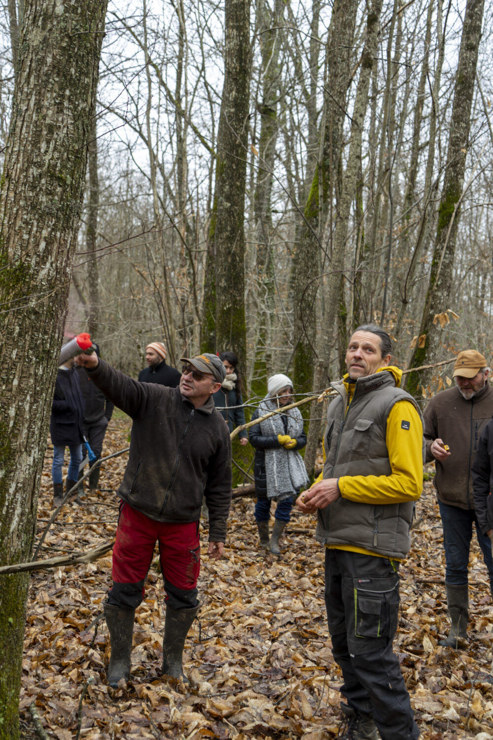 Les Loges Lesseps - Forall Studio