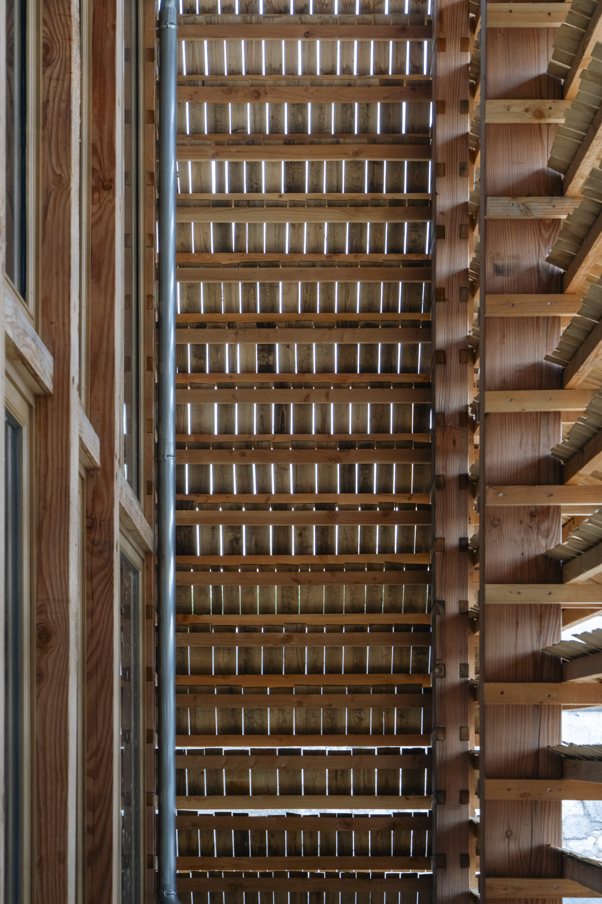 La Cité commune - Forall Studio