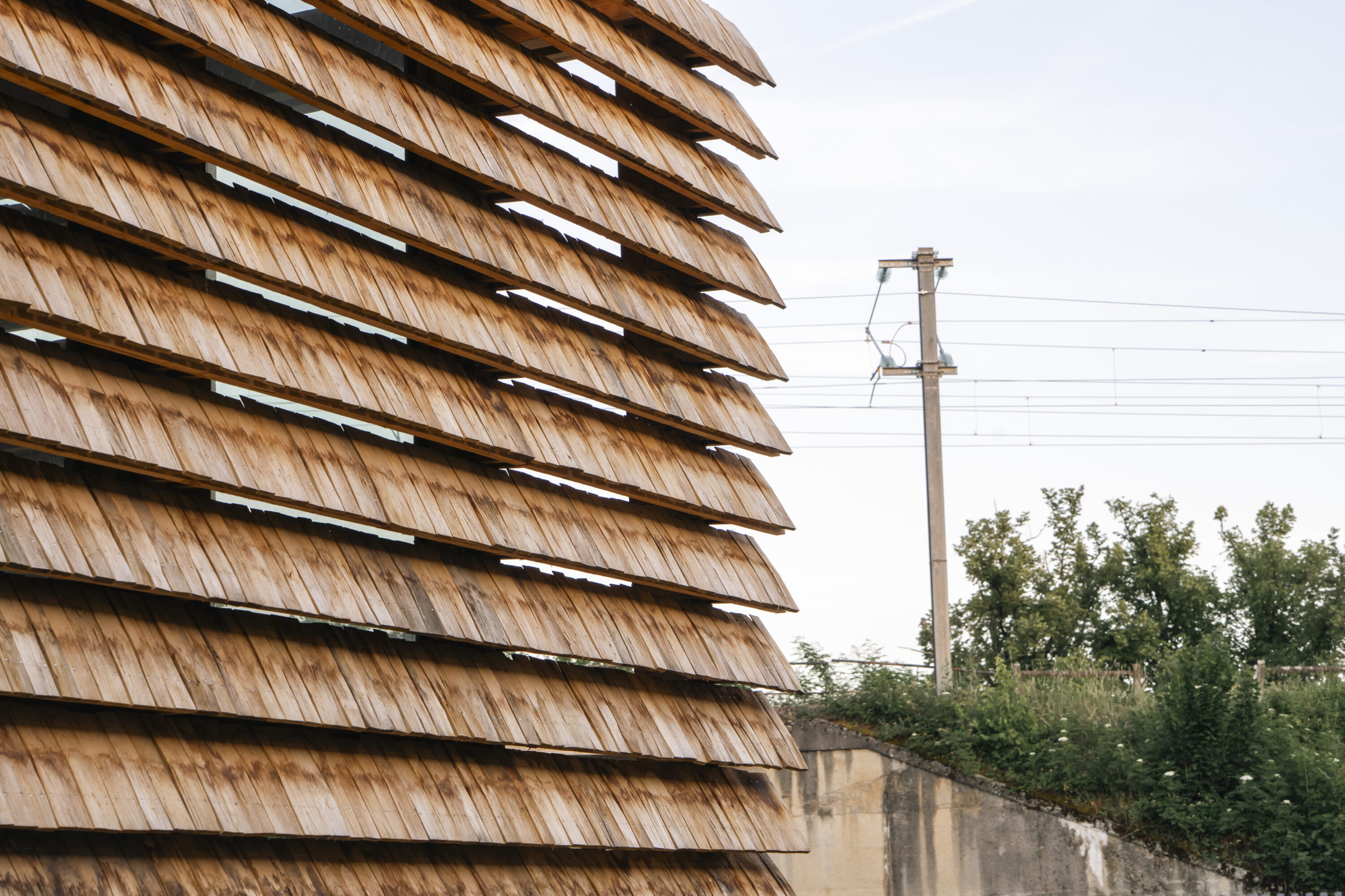 La Cité commune - Forall Studio