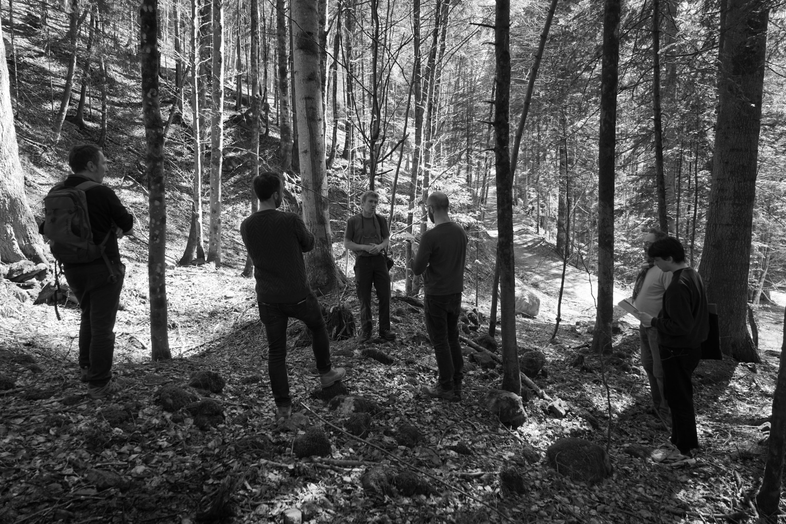 Les Forêts du Grand Est face aux changements climatiques - Forall Studio