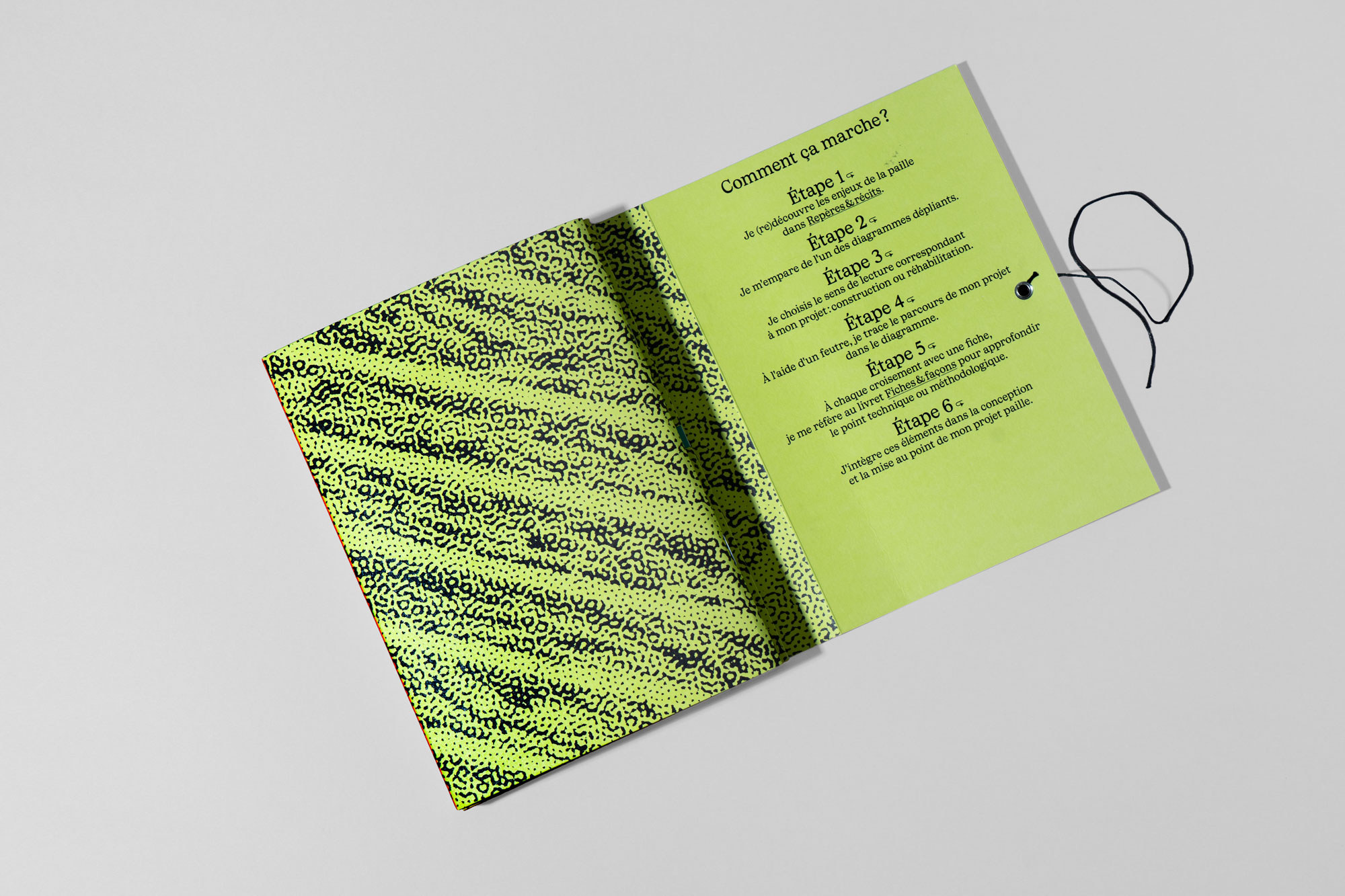 CAP ? – Concevoir Autrement en Paille - Forall Studio