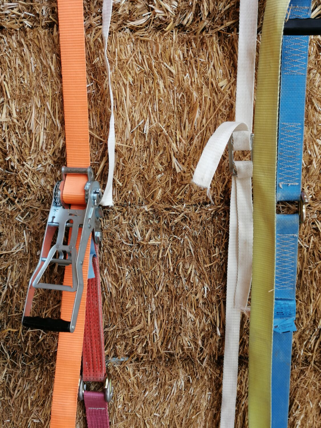 CAP ? - Forall Studio