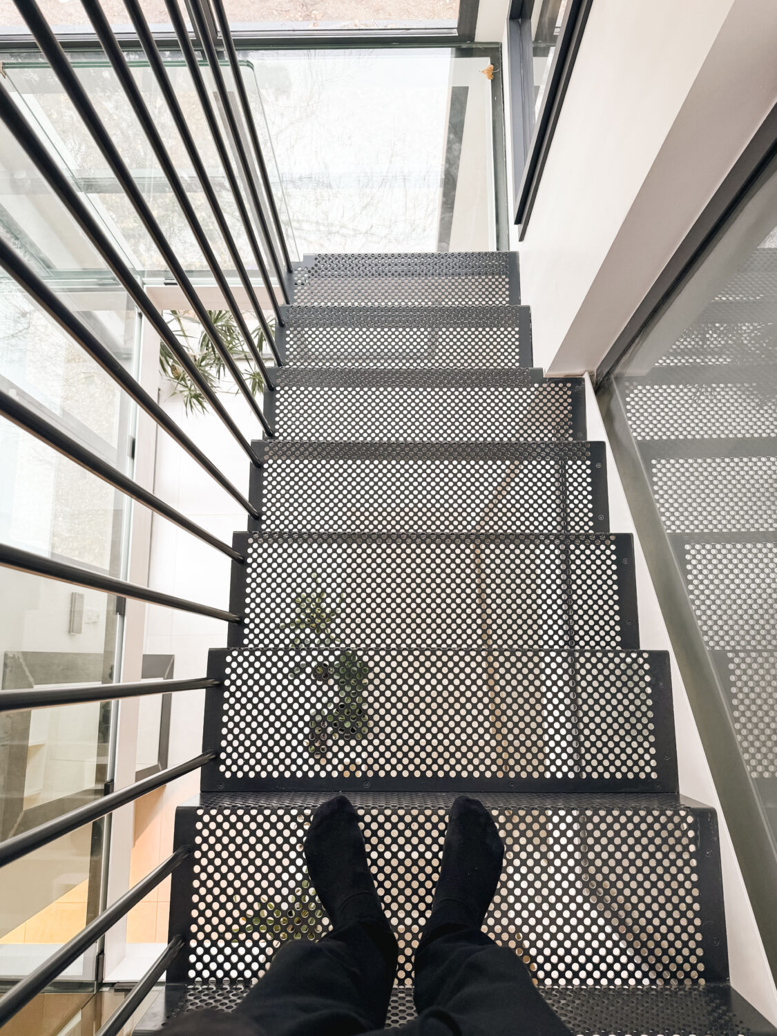 Bellevue House - Forall Studio